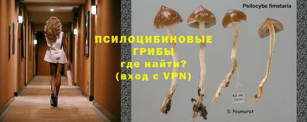 бошки Арсеньев