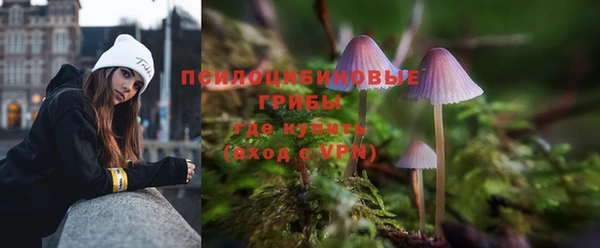 шишки Баксан