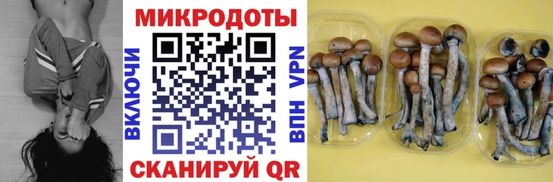 Галлюциногенные грибы GOLDEN TEACHER  Собинка 
